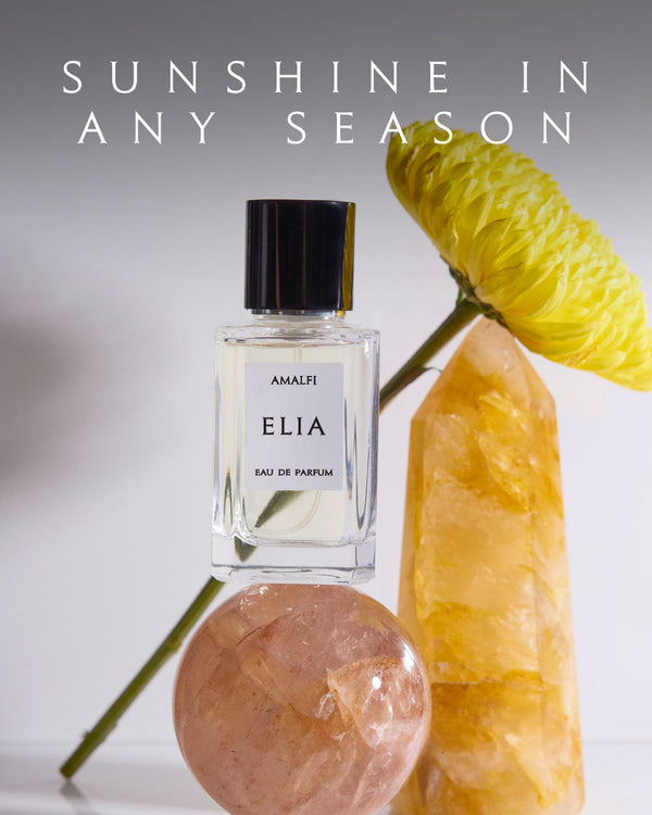 Discover Amalfi: Your Perfect Citrus Fragrance for Every Season